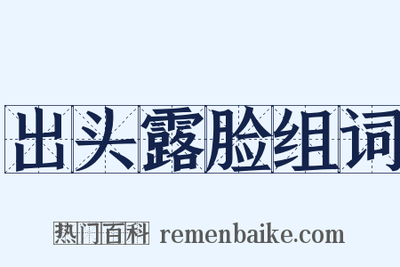 出头露脸组词是什么意思的图片